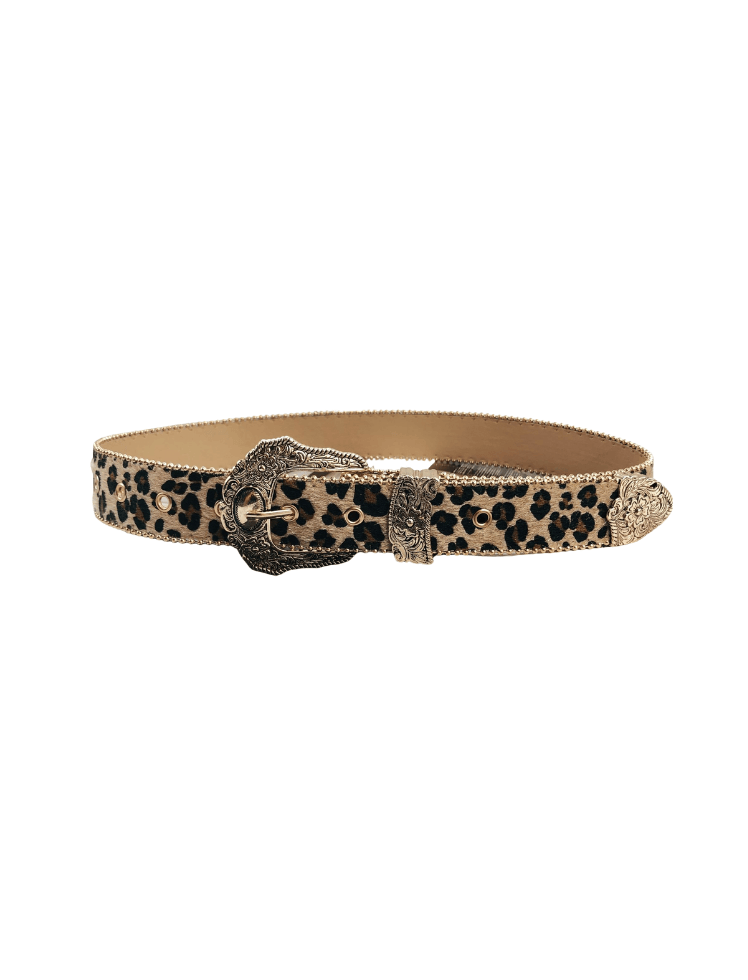Correa Safari Luxe Cafe Ref. Belt-104