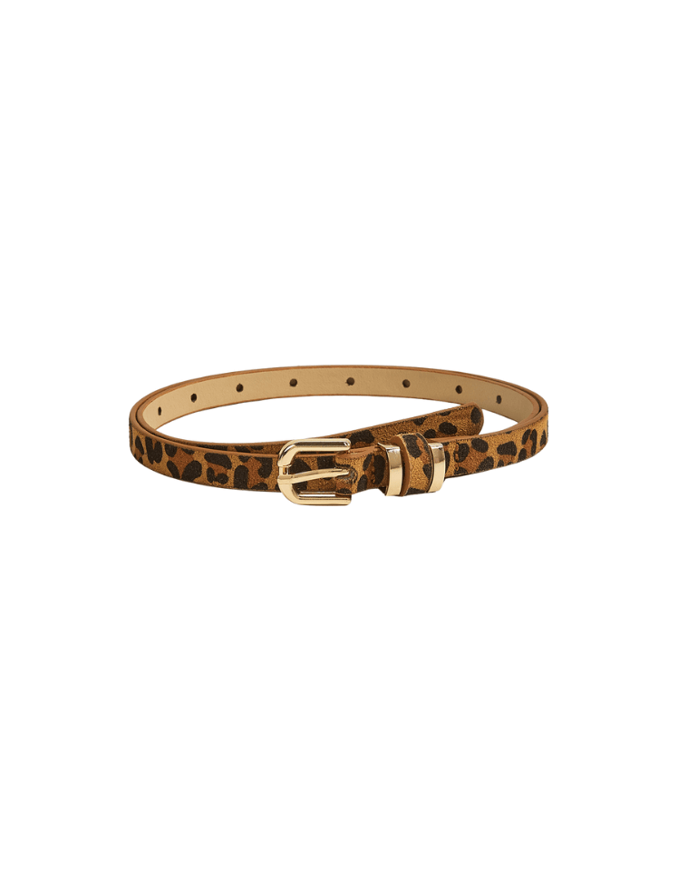 Correa Wild Touch Belt Cafe Ref. Belt-69